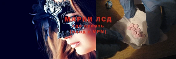 прущие грибы Алексин