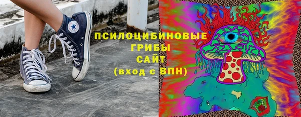 прущие грибы Алексин